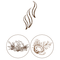 Аромат: Сушени плодове и кокос