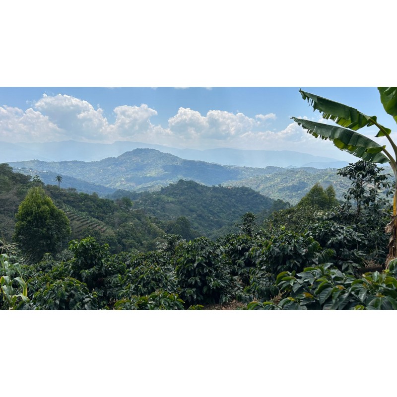 Peru Cajamarca
