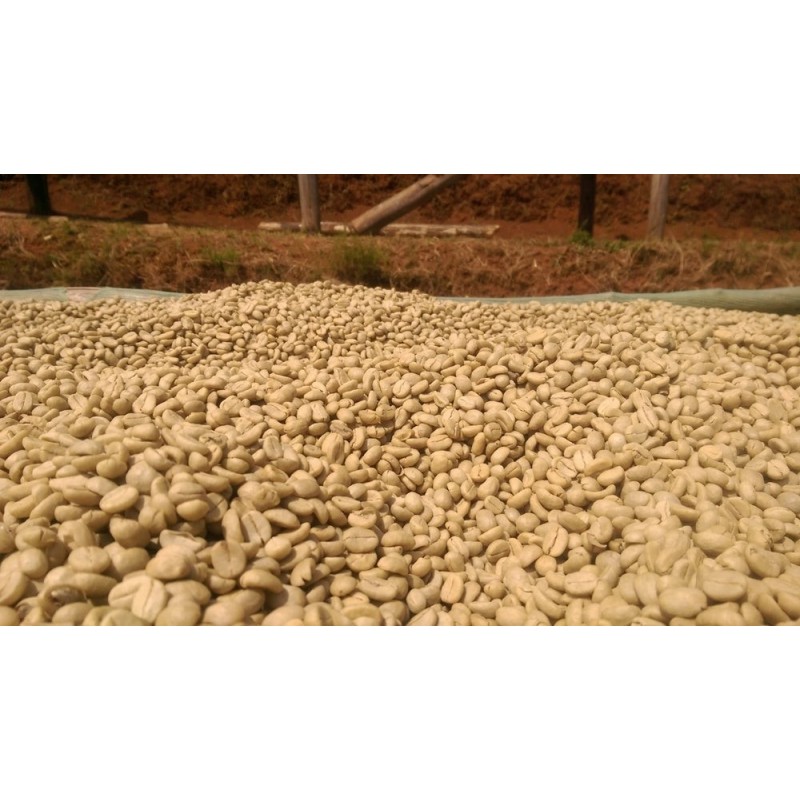Ethiopia Guji Siko Natural Gr. 1