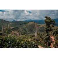 Bolivia Caranavi 85,75 S.C.A.