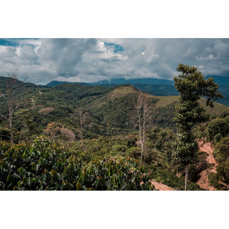 Bolivia Caranavi 85,75 S.C.A.